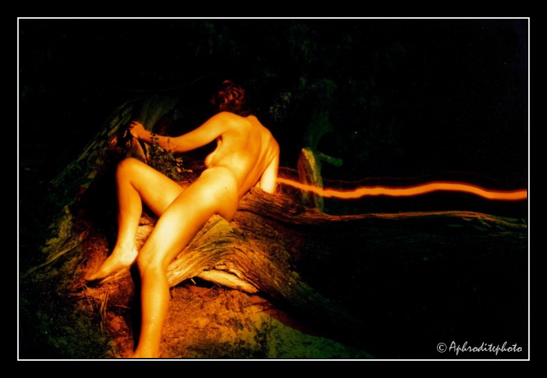 010 Back curves